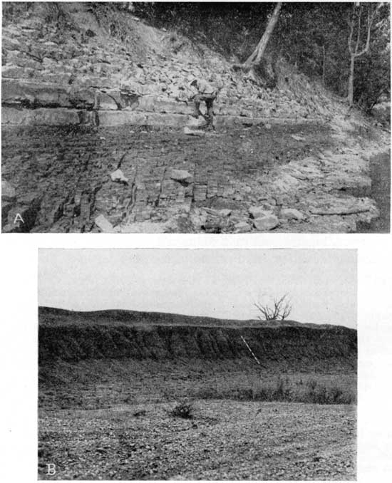 Two black and white photos; top shows outcrop of limestone on river bank; bottom shows dark gray eroded outcrop in gravel pit.