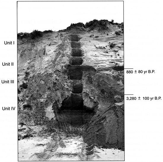 Black and white photo of the Crocket Cutbank showing the position of pedostratigraphic units and radiocarbon ages.