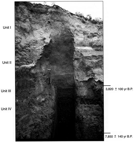 Black and white photo of the Cullison Quarry showing the position of pedostratigraphic units and radiocarbon ages.