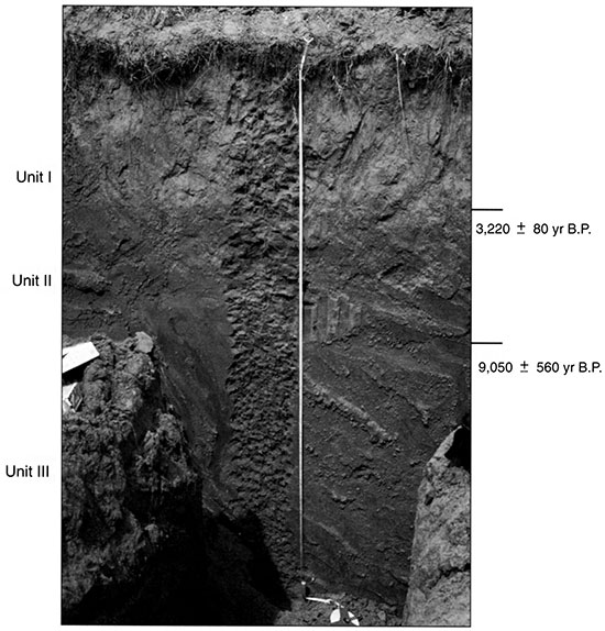 Black and white photo of Edwards 1 showing the position of pedostratigraphic units and radiocarbon ages.