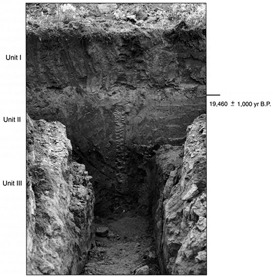 Black and white photo of Edwards 2 showing the position of pedostratigraphic units and radiocarbon ages.