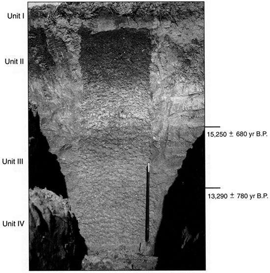 Black and white photo of Edwards 3 showing the position of pedostratigraphic units and radiocarbon ages.