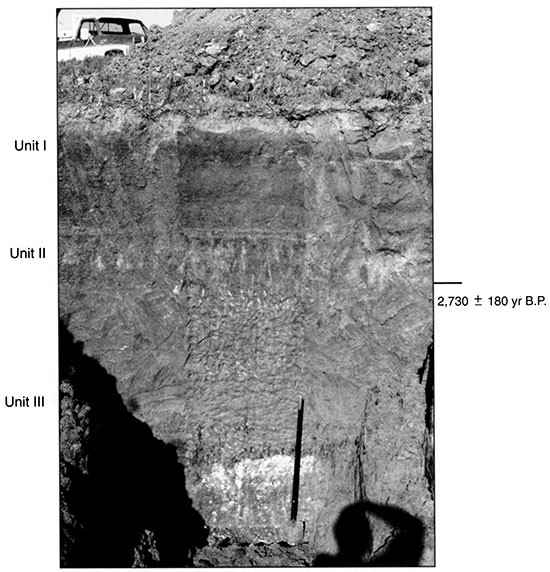 Black and white photo of Edwards 4 showing the position of pedostratigraphic units and radiocarbon ages.