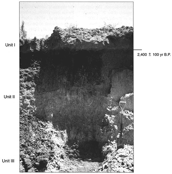Black and white photo of Phillips Trench showing the position of pedostratigraphic units and radiocarbon ages.
