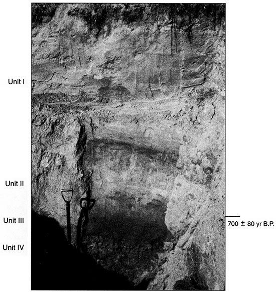 Black and white photo of Reno 3 showing the position of pedostratigraphic units and radiocarbon ages.