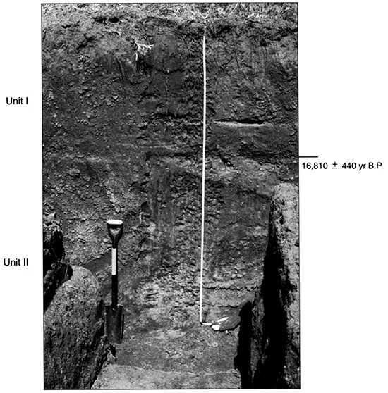 Black and white photo of Stafford 1 showing the position of pedostratigraphic units and radiocarbon ages.