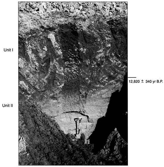 Black and white photo of Stafford 4 showing the position of pedostratigraphic units and radiocarbon ages.