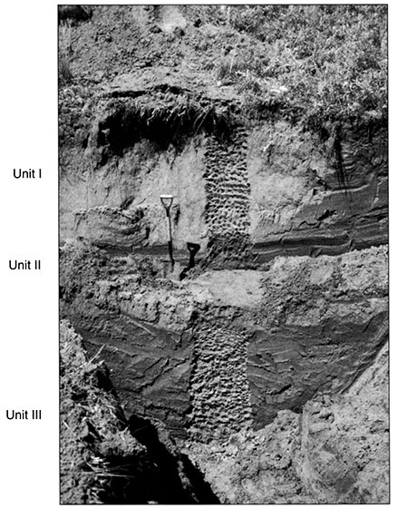 Black and white photo of Stafford 5 showing the position of pedostratigraphic units and radiocarbon ages.
