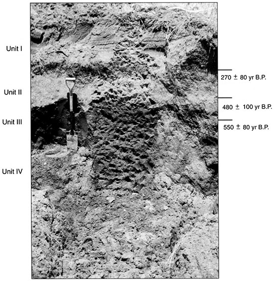 Black and white photo of Stafford 6 showing the position of pedostratigraphic units and radiocarbon ages.