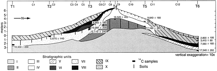 Cross section showing the position of stratigraphic units, trenches, and cores at Wilson Ridge.