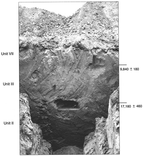 Black and white photo of Trench 5 showing the position of pedostratigraphic units and radiocarbon ages.