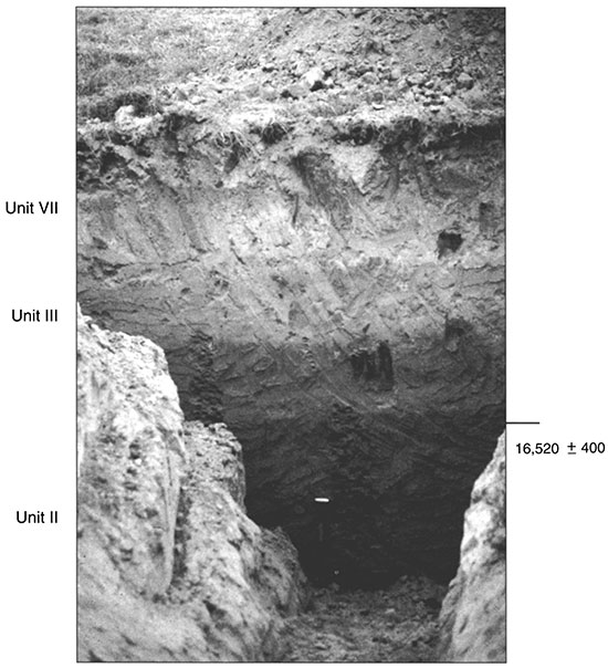 Black and white photo of Trench 4 showing the position of pedostratigraphic units and radiocarbon ages.