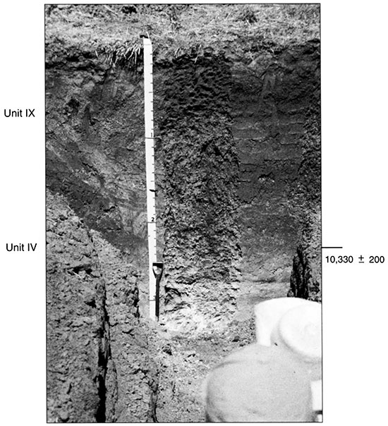 Black and white photo of Trench 1 showing the position of pedostratigraphic units and radiocarbon ages.