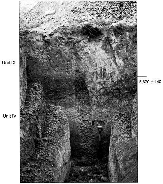 Black and white photo of Trench 2 showing the position of pedostratigraphic units and radiocarbon ages.