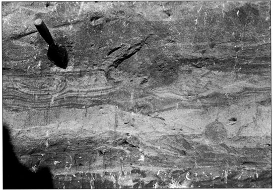 Sedimentary structures, including laminations and load structures, in Unit VI in Trench 3 at Wilson Ridge.