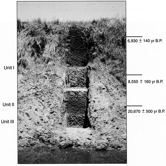 Black and white photo of the Belpre trench, showing the position of pedostratigraphic units and radiocarbon ages.