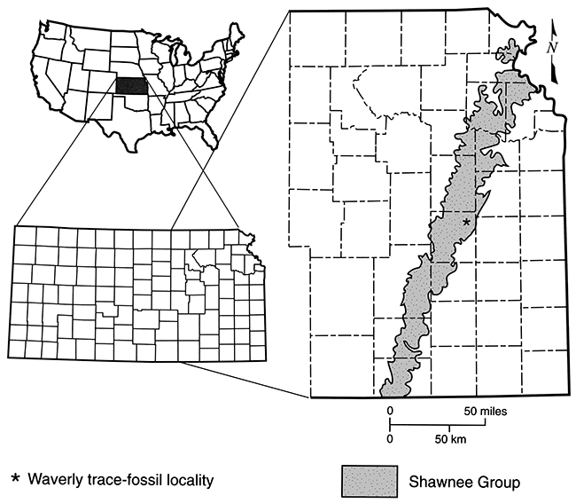Shawnee Group crops out in a band from Doniphan and Atchison counties in the north to Chautauqua County in the south.