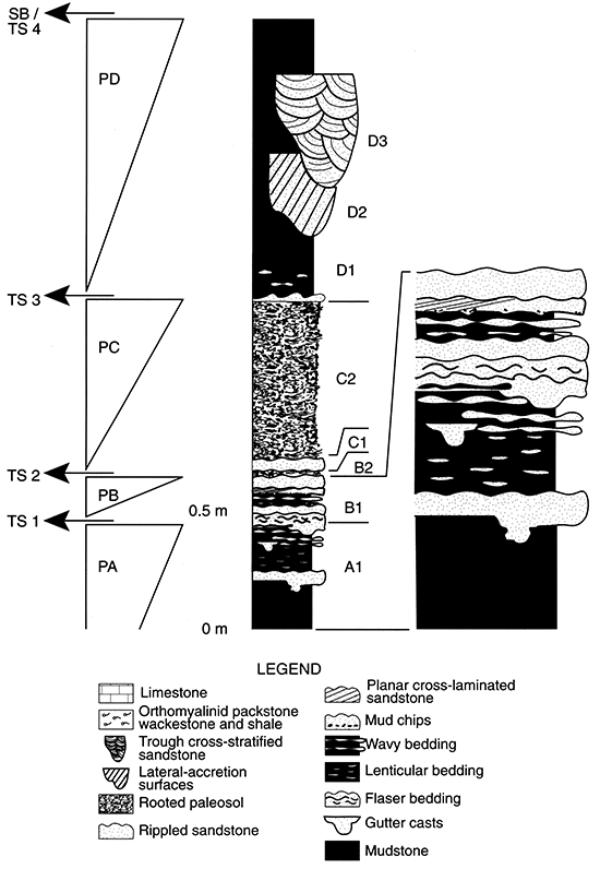 Detailed sedimentologic log of the lower interval of the Stull Shale Member at the Waverly trace- fossil locality.