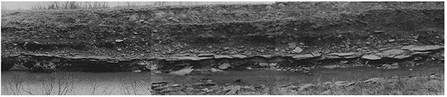 Black and white panoramic photo of tidal-flat deposits at Waverly.