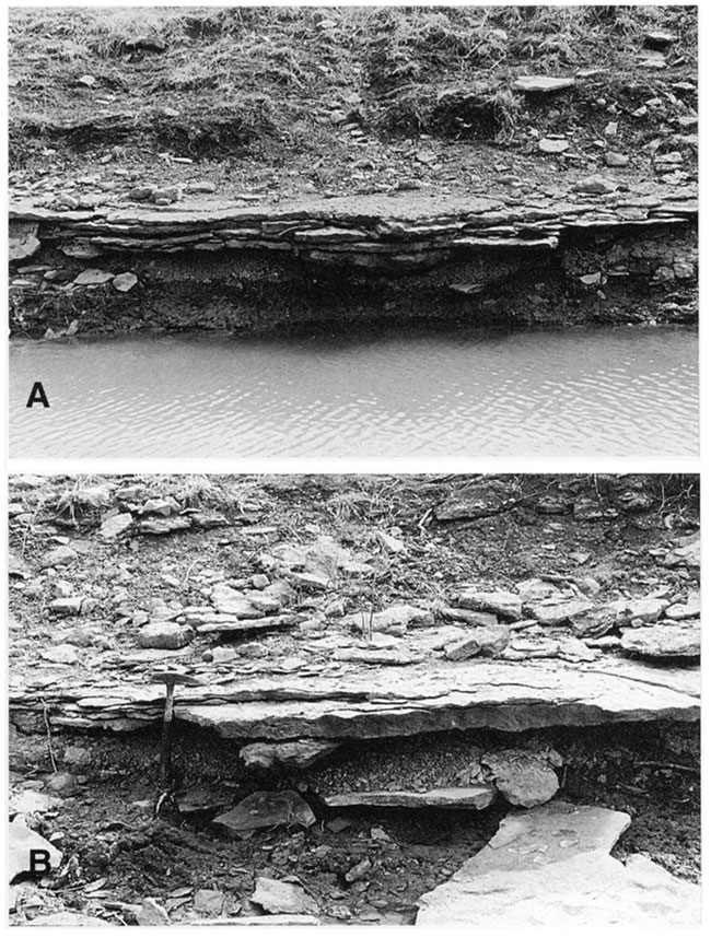 Close-up of mud- to mixed-flat facies (unit A1) overlain by sand-flat facies (unit B1).