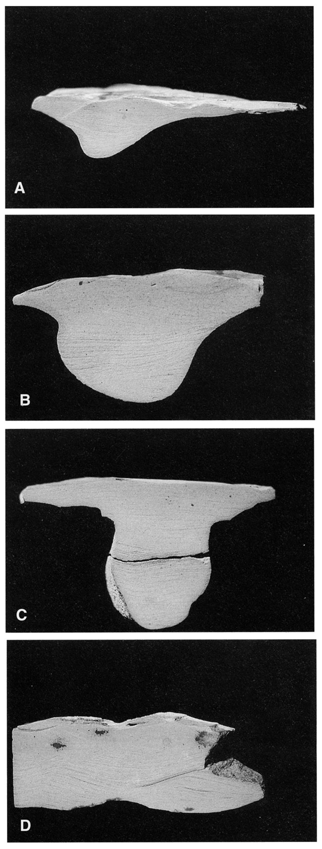 Cross sectional views of gutter casts.