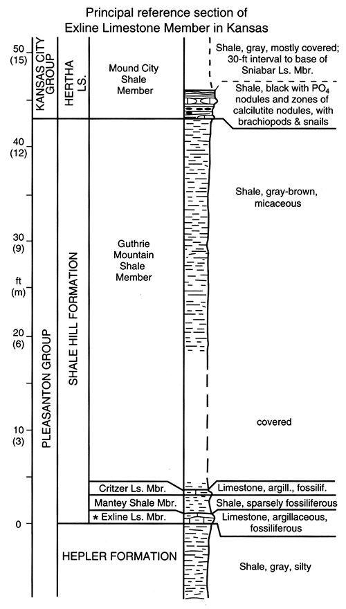 Measured section of principal reference section of Exline Limestone Member.