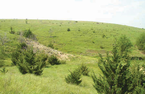 Color photo of gentle hillside, mostly grass covered except for small rocky outcrop.