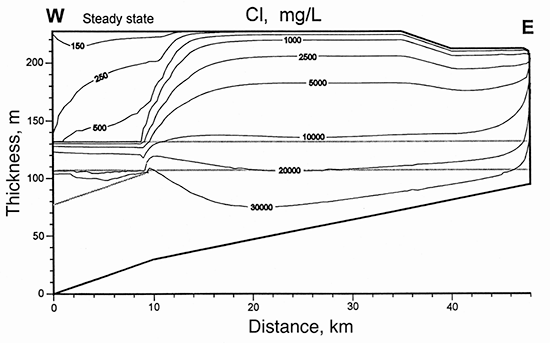 Distribution of dissolved chloride concentration for the steady-state simulation by the 2-D coupled profile model.