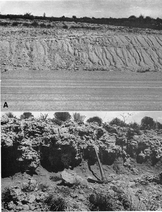 Two black and white photos; top is of calcareous beds near the top of the Ogallala east of Arkalon; bottom is Caliche bed in the Ogallala east of Arkalon.