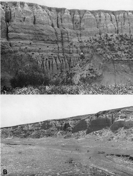 Two black and white photos; top is of Jones Ranch beds, southeast of Meade; bottom is of Kingsdown laminated silt and clay beds in northwestern Clark County.