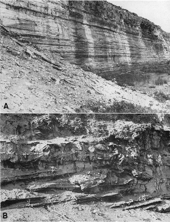Two black and white photos volcanic-ash beds about 5 miles north of Meade; top is of uniform, fine lamination; bottom is of channeling and concretionary structures.