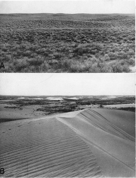 Two black and white photos of dune topography; top is grass-covered sand hills south of Garden City; bottom is active dunes about 4 miles west of Syracuse, September, 1939.