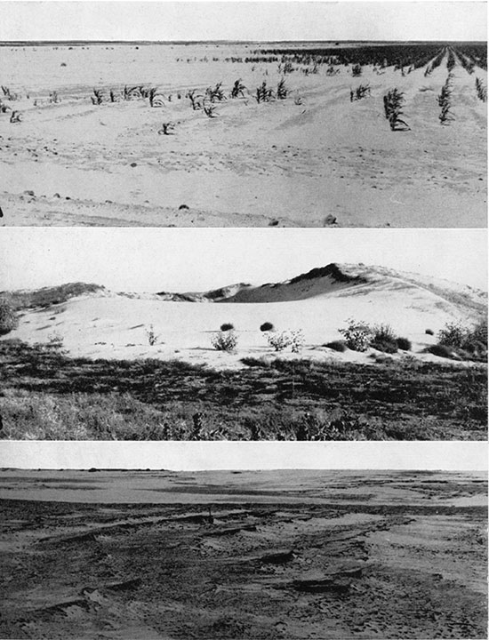 Three black and white photos of dunes; top is drifting sand destroying crop in a cultivated field south of Feterita, in Stevens County, August, 1937; middle is spot blowout just south of Syracuse, view looking south. September, 1939; bottom is areal blowout 11 miles north and 3.6 miles west of Liberal. view looking northeast, July, 1938.