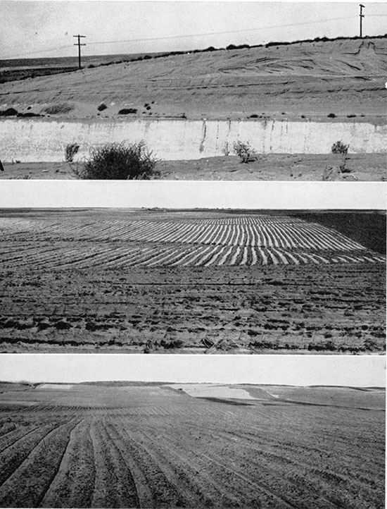 Three black and white photos; top is exposure showing foreset, topset, and backset bedding in old dune along new railroad cut just west of Kismet; lower two are old-age dune forms about 3 miles east of Fowler.
