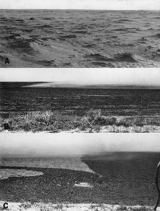 Three black and white photos; top is wind-swept field between Liberal and Hugoton; middle is effect of the wind in stirring up dust on the uncultivated part of a field; bottom is dissipation of dust in passing from uncultivated to cultivated part of same field as above, summer, 1939.
