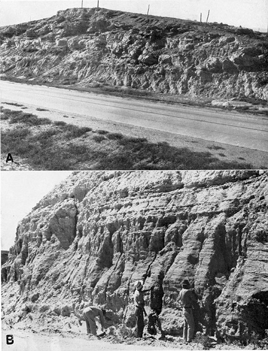 Two black and white photos; top is of channeling in the Ogallala about 5 miles west of Dodge City; bottom is of basal Ogallala beds exposed in road cut just cast of Clark County State Lake.