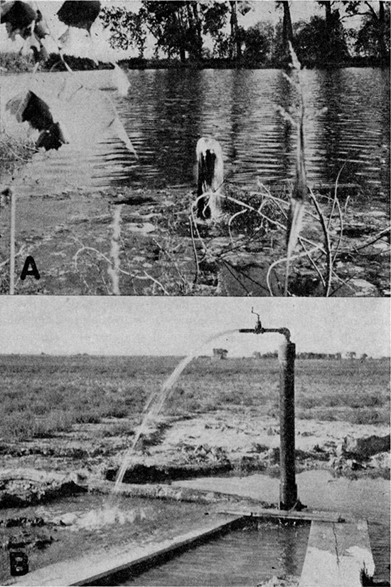 Two black and white photos of flowing wells with pipes of small diameter.