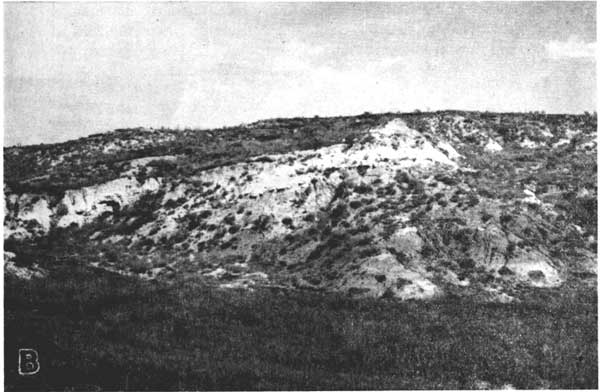 Black and white photo of gentle hill slope.