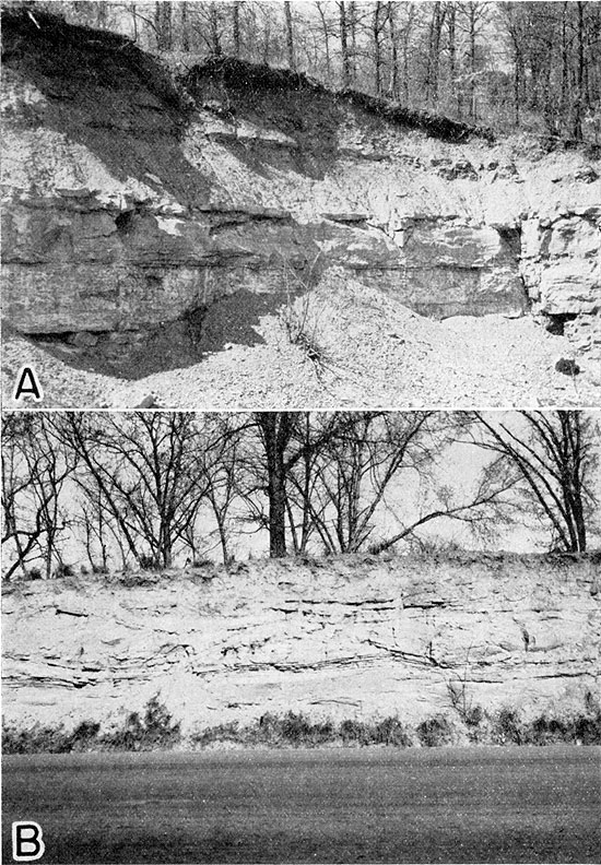 Two black and white photos; tops shows strong bedding of Oread Ls covered by more erodable chert; bottom shows cross bedded Pennsylvanian Ss.