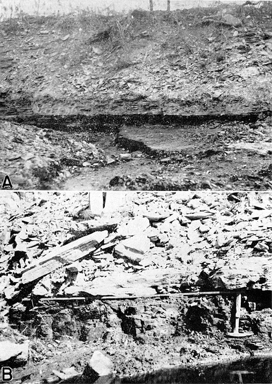Two black and white photos; top is of dark band of coal at base of mine wall; bottom is of coal bed 2 feet thick below lighter overburden, seems to obe standing water at base of outcrop face.