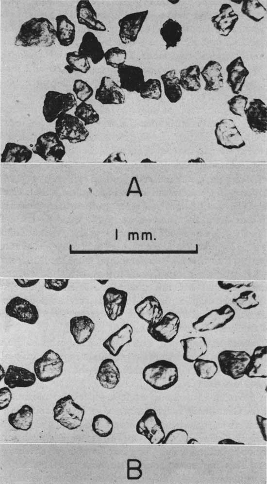 Two photomicrographs showing quartz grains; grains from redbeds look more rounded than those of Kiowa shale.