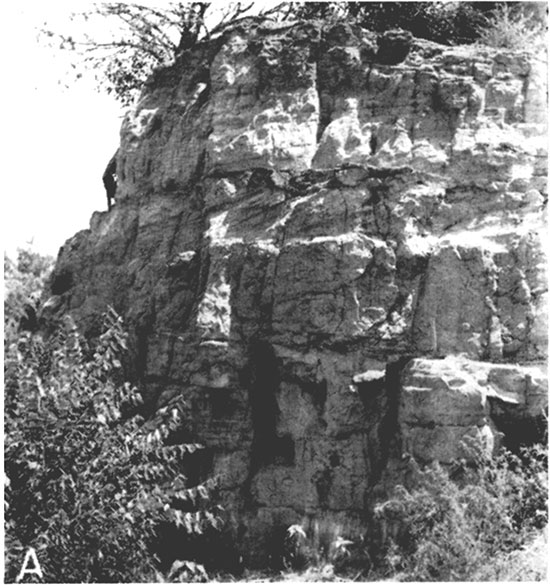 Black and white photo of sandstone of the Dakota formation in Concordia on east side of U. S. Highway 81.