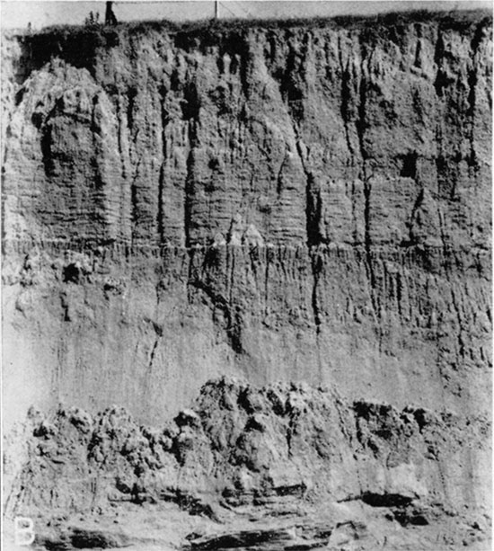 Black and white photo of exposure of loess along small stream in the NE SE NE sec. 13, T. 1 S., R. 11 W.