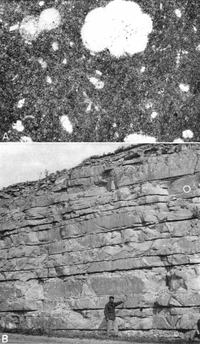Two black and white photos; top is photomicrograph; bottom is geologist standing next to massively bedded outcrop, at least 30 feet high.
