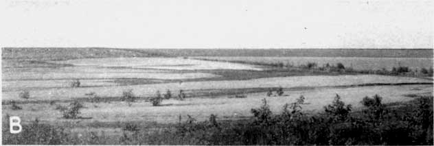 Black and white photo of slightly rolling landscape with small trees and lake.