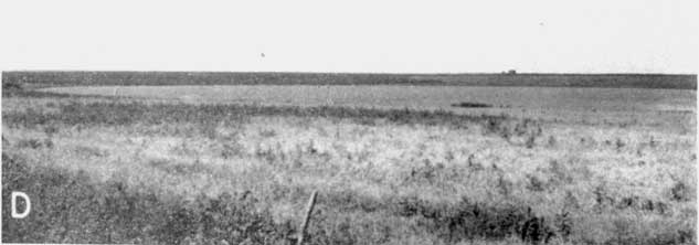 Black and white photo of prairie with shallow lake in midground.