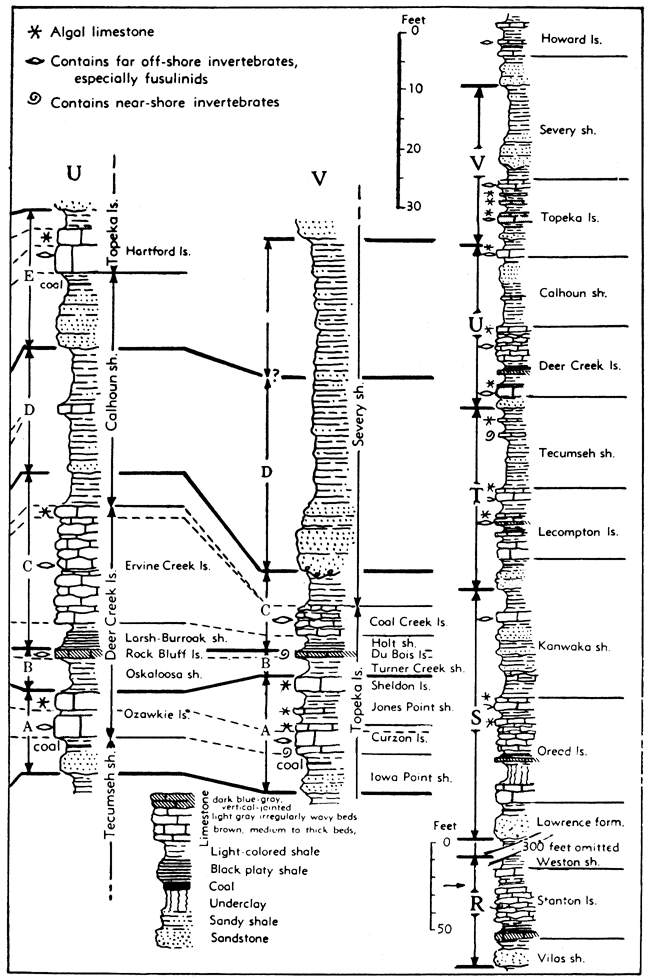 Two stratigraphic sections labeled to show cyclothems.