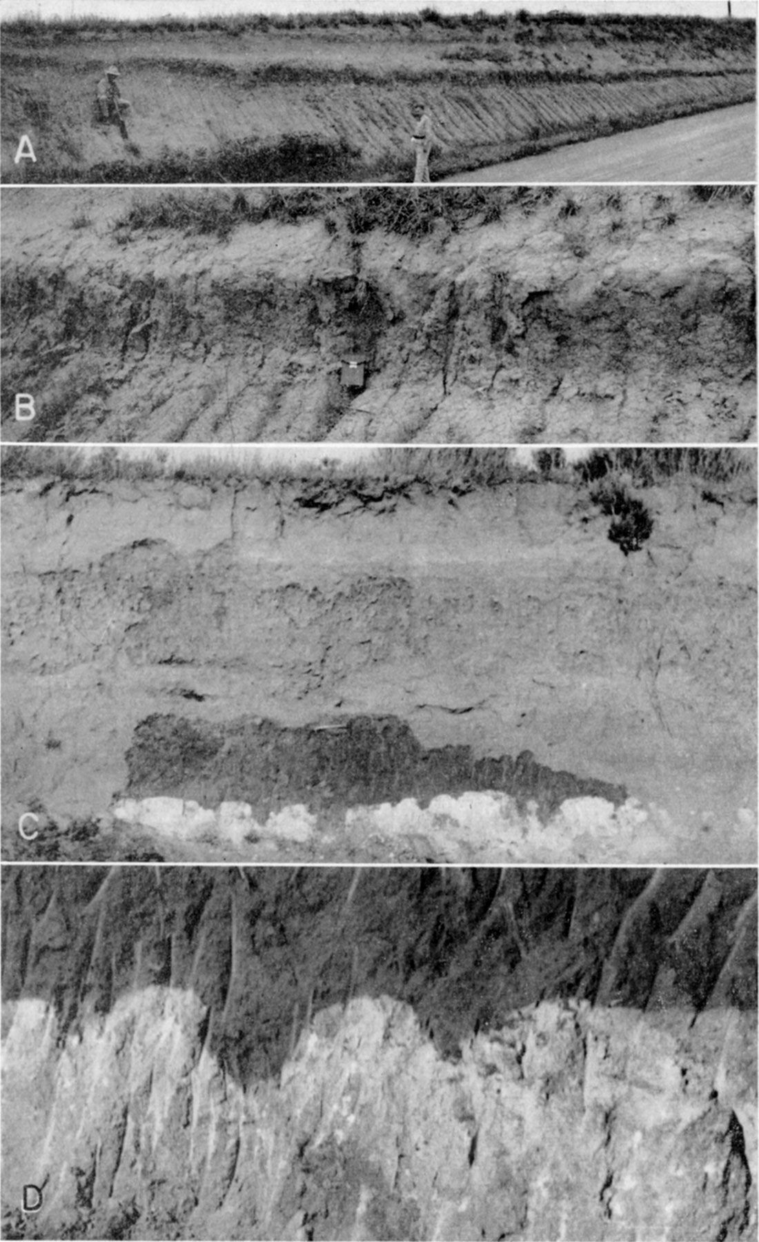 four black and white photos of Brady soil in western Kansas.