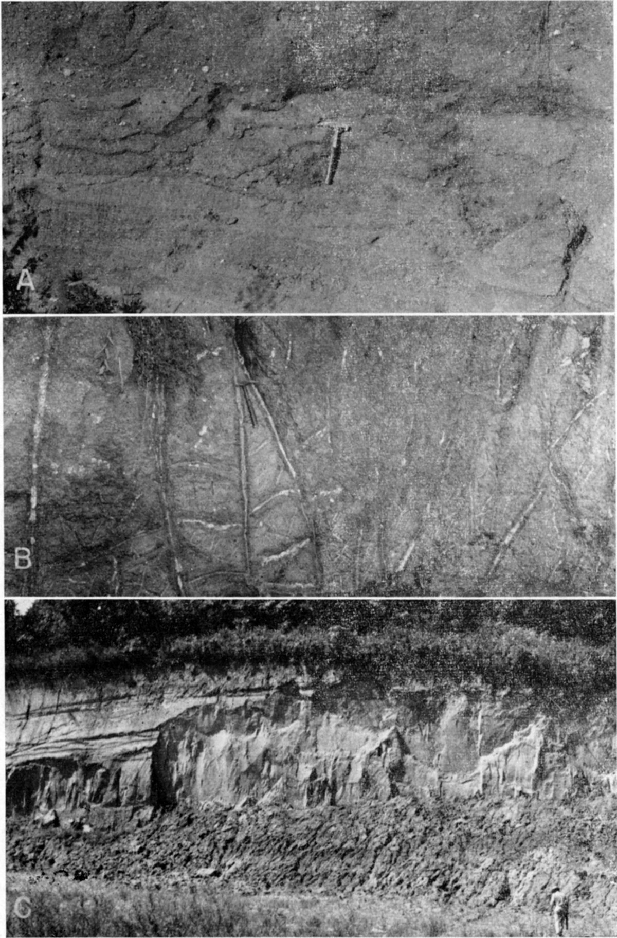 Three black and white photos; closeup of outcrop, hammer for scale, 5 feet high; closeup of outcrop, hammer for scale, 5 feet high, white filling in jopints is visible; 35-foot high outcrop, person standing near for scale