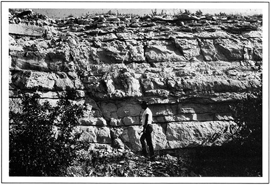 Limestone in Fort Hays Limestone in Jewell County.